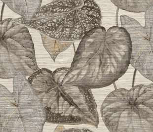 TA25050-repeated_web