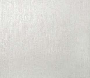 64988_Base_paperwhite_closeup_1920x1920