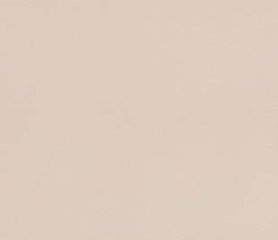 Casablanca-2302_pg_0571 copy