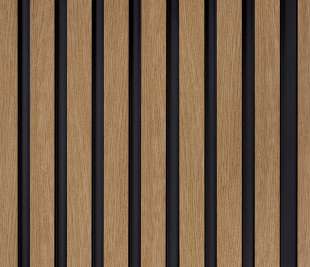 L0206_dąb-klasyczny_3_web