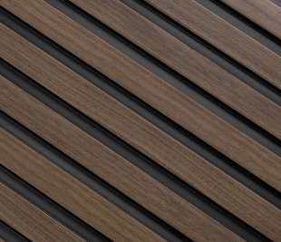 L0204_dąb-ciemny_1_web