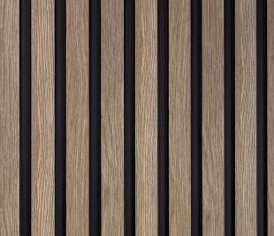 L0203_dąb-szary_3_web