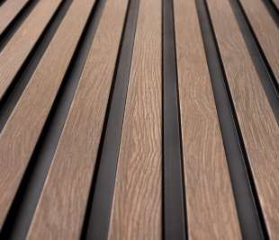 L0203_dąb-szary_2_web