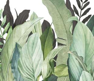 18001_Tropical_Forest_coconut_closeup_1_1920x1920