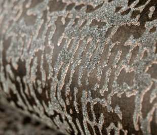 designtapete-brown-wohnzimmer-feel-alpine-reptile_81266-detail_1920x1920