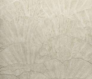 designtapete-beige-wohnzimmer-feel-seashell_65003-closeup_1920x1920