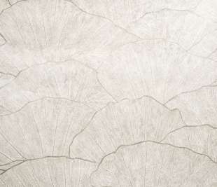 designtapete-old_white-wohnzimmer-feel-seashell_65004-closeup_1920x1920