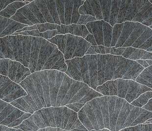 designtapete-black_blue-wohnzimmer-feel-seashell_65005-closeup_1920x1920