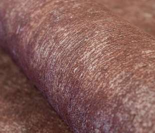 tapete-red-esszimmer-feel-scratched-plaster-64938-detail_1920x1920