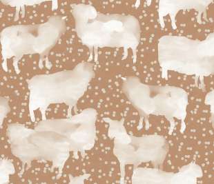 HAP301 SLEEPY GINGER