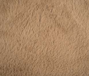 2000x1333_0040_203.03 (6) kopia