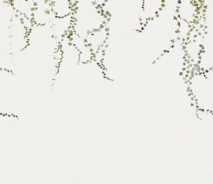 640-04_Aralia_Moss-Green_Sandberg-Wallpaper_image1_web