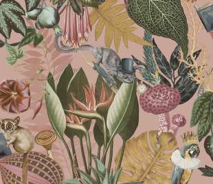 13400-Wonderland-blush-image