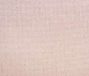 26808_Mini_Dots_rose_closeup_1_1920x1920