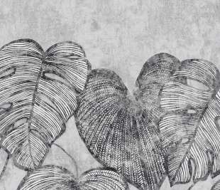 designtapete-black-walnut-schlafzimmer-julie-feels-home-monstera-twinwall-26977-closeup_1920x1920