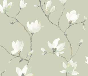 CASADECO_82367428_web