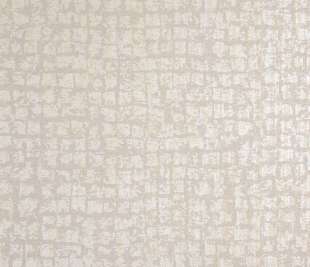 64283_Zeus_sand_closeup_1_1920x1920