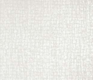 64284_Zeus_snow_closeup_1_1920x1920