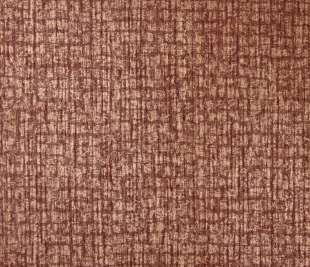 64296_Zeus_ruby_red_closeup_1_1920x1920