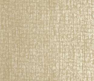 64297_Zeus_gold_closeup_1_1920x1920