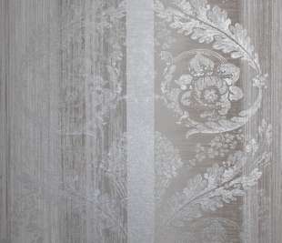 64288_Nerites_stone_grey_closeup_2_1920x1920