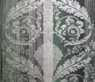 64293_Nerites_woody_green_closeup_2_1920x1920