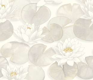 CASADECO_87630122_web