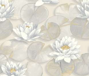 CASADECO_87631068_web