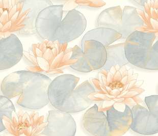 CASADECO_87633219_web