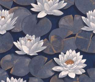 CASADECO_87636981_1_web