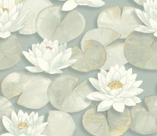 CASADECO_87637360_web