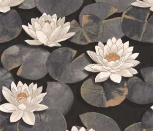 CASADECO_87639874_1_web