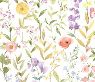 CASADECO_87650825_web