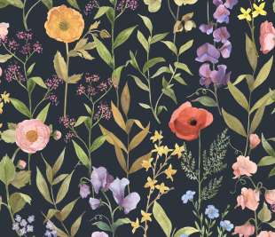 CASADECO_87659456_web