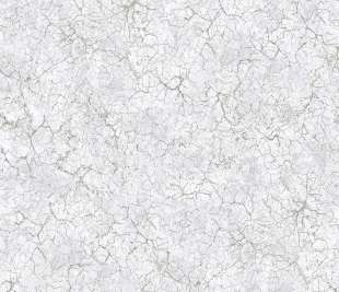 26867_Bento_fossil_grey_closeup_1920x1920