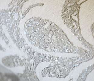 64858_Notting_hill_cream_gold_detail_5_1920x1920