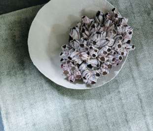 Current_206.001.510_200_0300-DI1_web