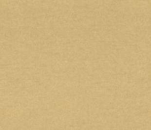 301327-SHINE-LIGHT-GOLD_web