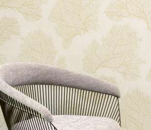 300498-CORALLIUM-CREAM-&-LIGHT-GOLD_web