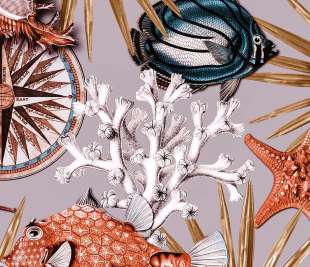 300870-REEF-CORAL-RED