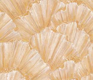 300962-TRIDACNA-GOLD-2,65m-x-2,65m_web