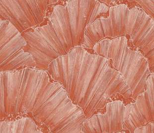 301129-TRIDACNA-CORAL-RED-2,65m-x-2,65m_web