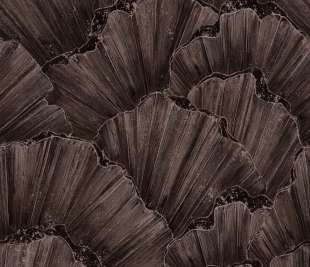 300986-TRIDACNA-BLACK-2,65m-x-2,65m_web