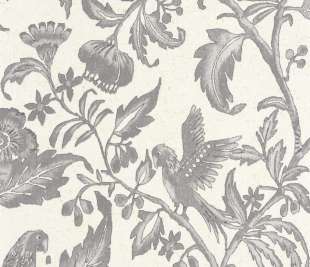 CASADECO_88169348_web