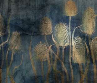 Tenebri Art. 420 31 2101