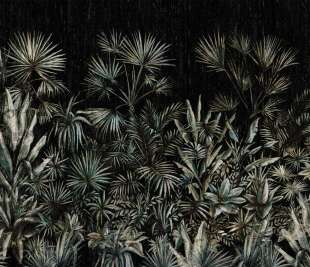 Passiflora Art. 340 33 2101