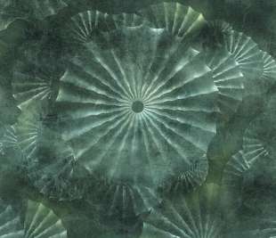 Orlanda Art. 695 33 2202