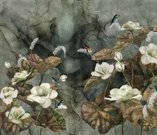 Nimfea Art. 355 32 2101