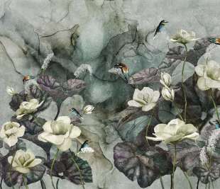 Nimfea Art. 355 31 2101