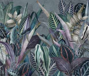 Nevida Art. 630 32 2202